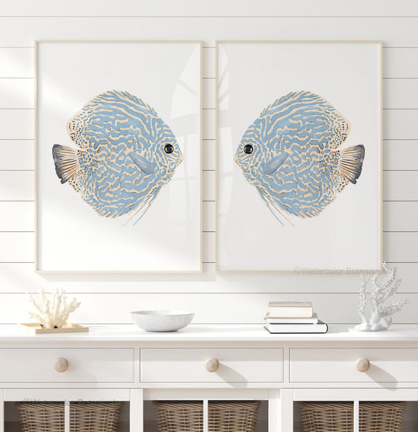 Coastal blue set of 2 discus fish wall art