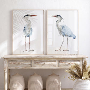 Blaureiher Kunstdrucke – Minimalistische Vögel mit Weißem Hintergrund