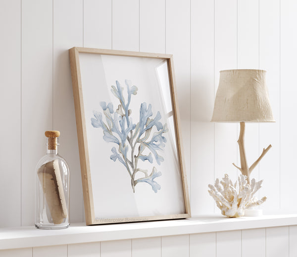 Light blue watercolor coral print in a wooden frame on a white shelf beside a driftwood lamp