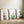 set of 3 watercolor prints featuring separately minimalist cactus opuntia, aloe vera and another tall cactus painted on white background stand in wooden frames leaning towards the wall