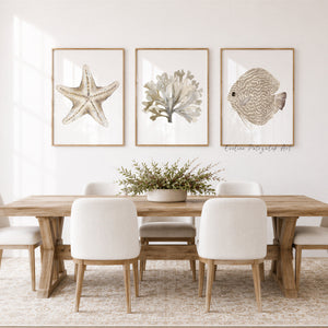 Coastal Farmhouse Wall Art Set of 3 Neutral Coastal Prints