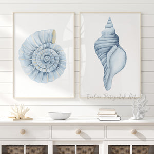 Ammonite & Conch Shell Wall Art – Minimalist Coastal Art Set