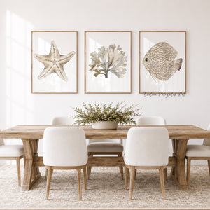 Coastal Farmhouse Wall Art Set of 3 Neutral Coastal Prints