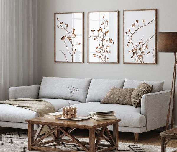 Three brown botanical prints above a grey sofa and rustic wooden coffee table