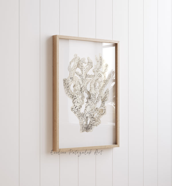 Beige Korallen Bilder 2er Set – Aquarell Wandbilder im Coastal Stil