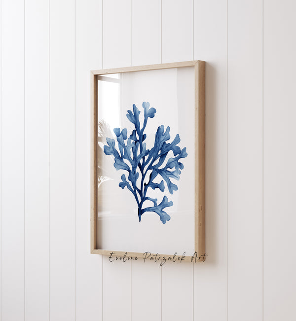 Hamptons-style navy coral wall posters, Set of 3