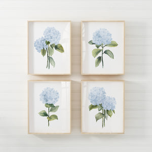 4 watercolor prints, minimalist blue hydrangea flowers, botanical print for modern living room