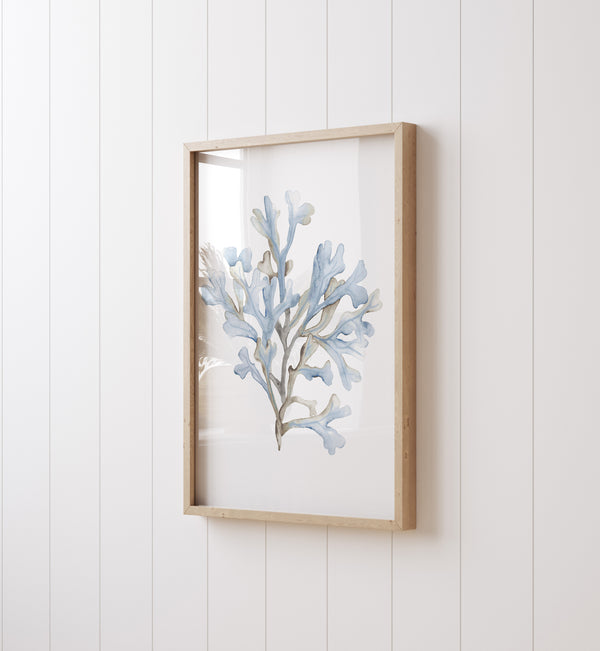 Blaues Korallen Wandbild 2er Set – Maritime Aquarell Kunstdrucke für Modernes Strandhaus