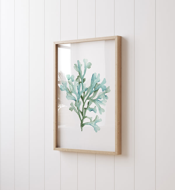 Watercolor Coastal Seaweed Wall Art Set – Green Ocean Botanical Collection