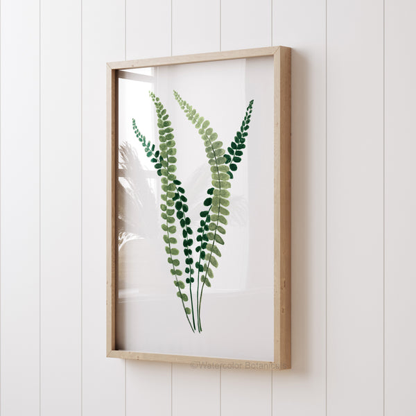A framed watercolor painting showcases the intricate details of a fern, its small, soft green leaves arranged in a graceful pattern against a crisp white background, viewed from an angled perspective.