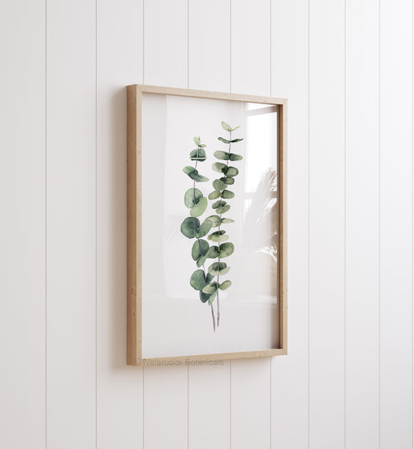 Eukalyptus, Thymian & Olive Wandbilder 3er Set – Aquarell Küchenkräuter Kunstdrucke