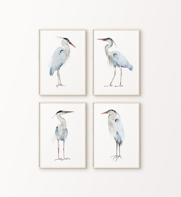 Blaues Reiher Wandbild Set – 4 Wasserfarbe Vogel Kunstdrucke