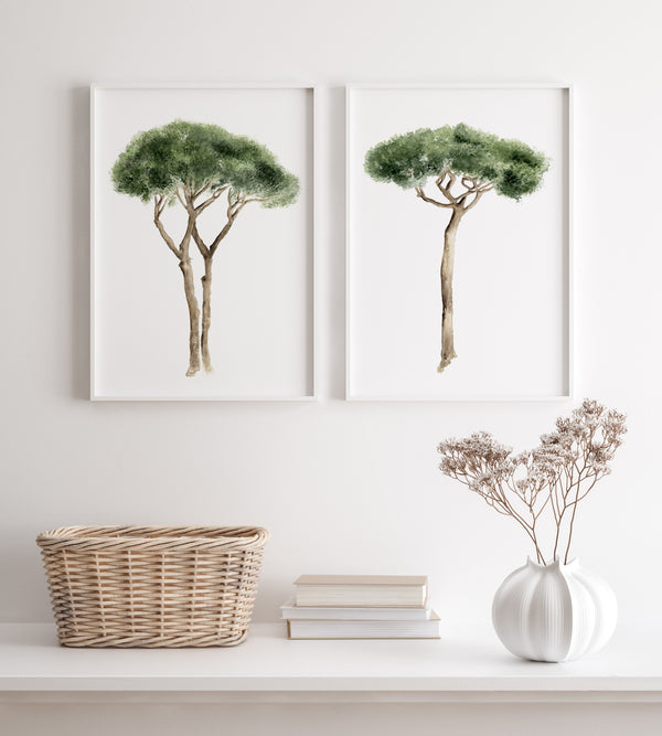 Mediterranean art is showcased in this image with two framed watercolor illustrations of Italian Stone Pines hanging on a white wall. The trees are depicted with green foliage and brown trunks, each in a thin white frame. Below the artwork, on a white shelf, sits a woven basket, a stack of books, and a white vase with dried flowers. The scene evokes a Mediterranean feel with the pine trees and natural decorative elements.