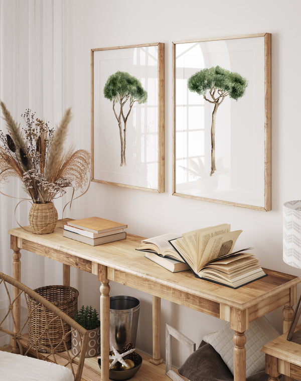 Mediterranean art is showcased with a set of two vintage botanical prints featuring watercolor illustrations of Italian Stone Pines hanging on a white wall above a wooden console table. The trees are depicted with green foliage and brown trunks, each in a thin light wood frame. On the table, there are two books, one open and one closed, a woven vase holding dried flowers, a metal bucket, and a small woven basket. A portion of a white armchair with a woven back is visible on the left.