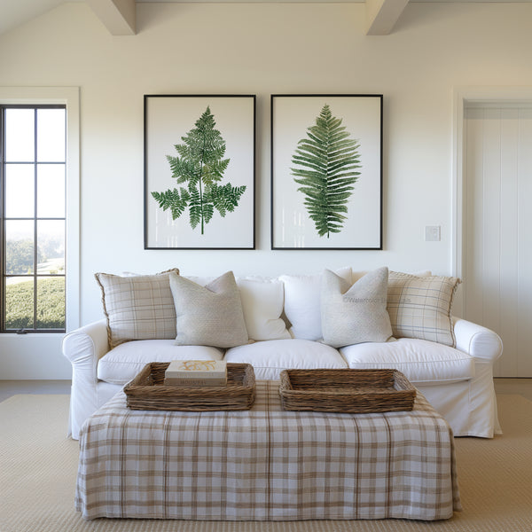 Living room with a white sofa, plaid blanket, and framed fern prints on the wall.