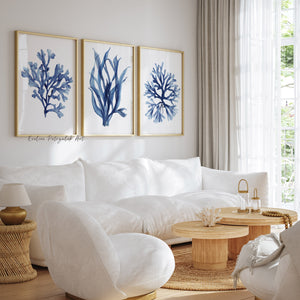 Seaweed and coral fine art posters in navy blue tones