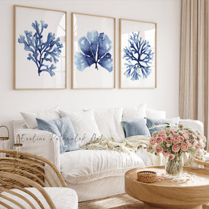 Hamptons-style navy coral wall posters, Set of 3