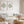 Light green discus fish prints in light wood frames above a white sofa with mint pillows