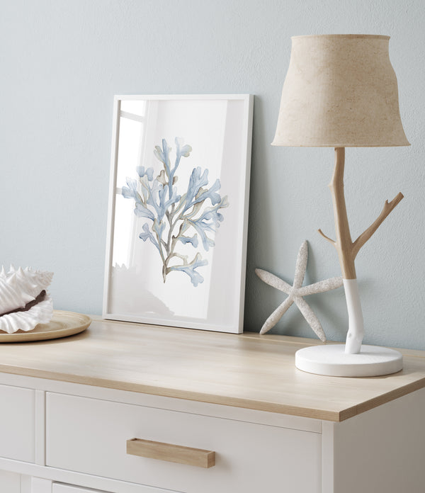 Light blue coral print on a white dresser with a driftwood lamp and starfish