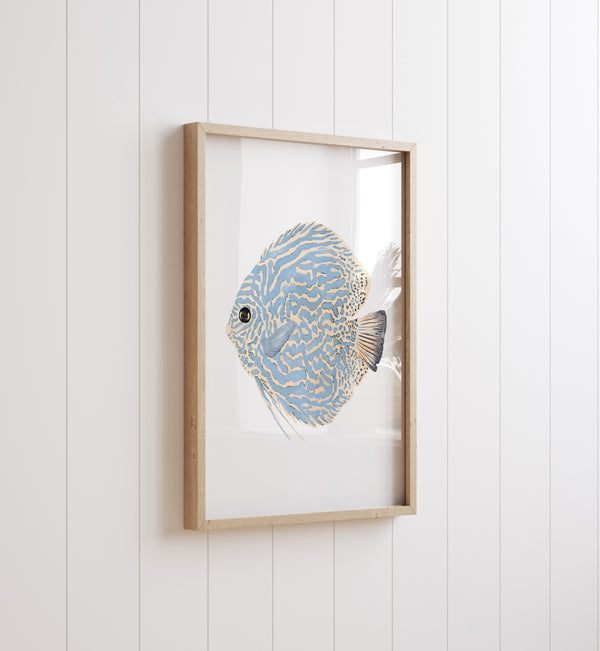 Abstraktes Küstenwandbild, 2er-Set Diskusfische Kunstdrucke