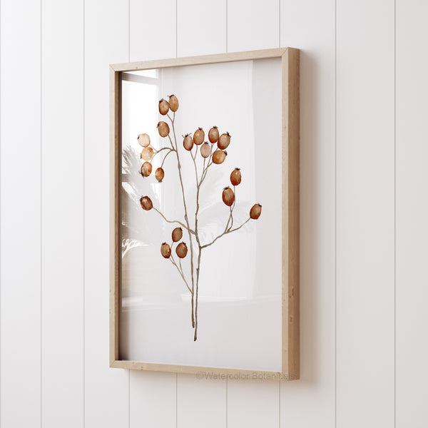 A framed botanical print featuring a delicate branch with dried rose hips in shades of brown and gold.