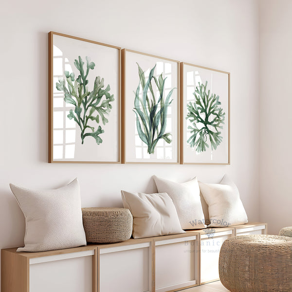 "A trio of framed watercolor paintings showcases vibrant green seaweed and coral, bringing a touch of the ocean to a coastal-inspired space.