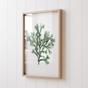 Minimalist botanical wall art with watercolor seaweed