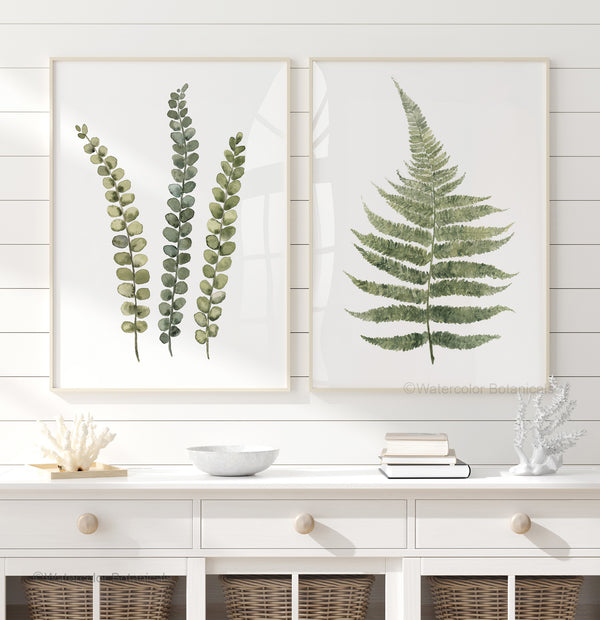 Olive Green Fern Wall Art – Organic Modern Botanical Watercolor Prints