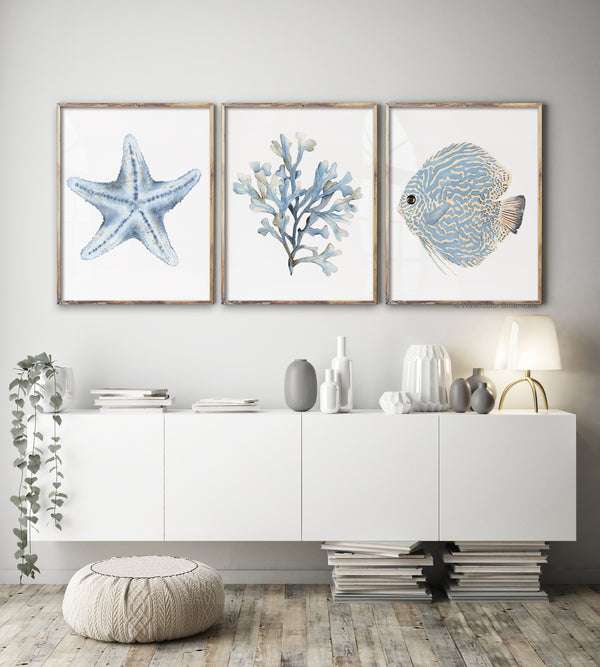 Modern interior with framed artwork of a starfish, coral, and fish on a wall above a white cabinet.