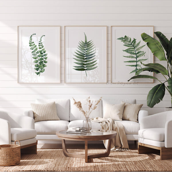 Three framed botanical art prints featuring green fern and leaf designs on a white wall above a modern white sofa in a bright, styled living room.
