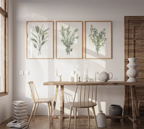 Three framed watercolor paintings showcase delicate depictions of Provencal herbs, including sage, rosemary, and thyme, in soft muted green tones, creating a calming and inviting atmosphere above a wooden dining table bathed in natural light.