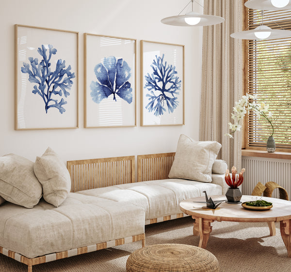 Minimalistisches Set aus 3 marineblauen Korallen- und Algendrucken
