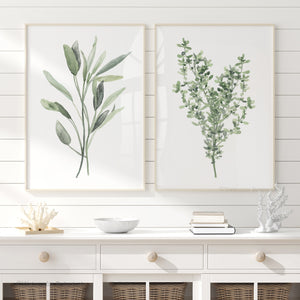 Green sage and thyme botanical prints for kitchen print décor