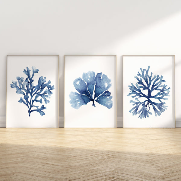Watercolor paintings of minimalist seaweed and coral designs in deep navy blue add a touch of nature to a room with a light wood floor and white walls.