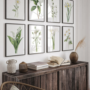 6 Botanische Poster – Minimalistische Aquarell Blumen für Landhausstil & Bauernhaus Deko