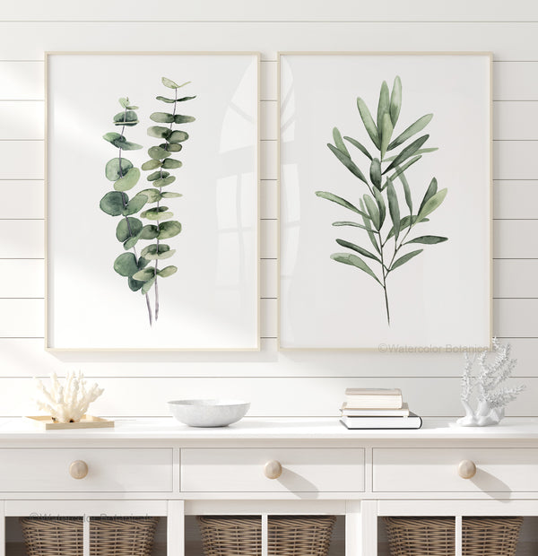 minimalist eucalyptus and olive branch painted with watercolor paints against white background hang in wooden frames above a dresser with corbs