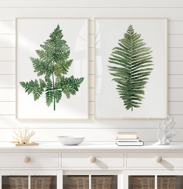 Two framed green fern prints on a white wall above a white console table.