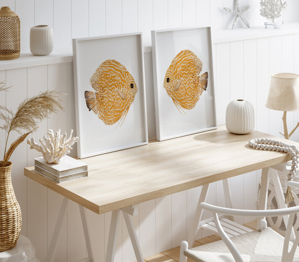 Set of 2 orange Mediterranean fish posters for modern homes