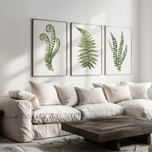 Living room with a white sofa, wooden coffee table, and three framed fern prints on the wall.