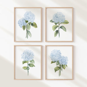 Watercolor hydrangea flowers, 4 posters, botanical print for modern interior