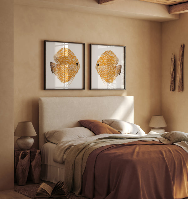 Set of 2 orange Mediterranean fish posters for modern homes