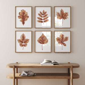 Watercolor Fall Leaves Set of 6 Prints – Botanical Autumn Wall Art for Rustic and Modern Decor
