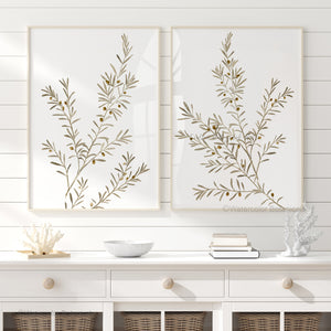 Mediterranean Olive Tree Botanical Prints – Neutral Modern Farmhouse Wall Art Set of 2