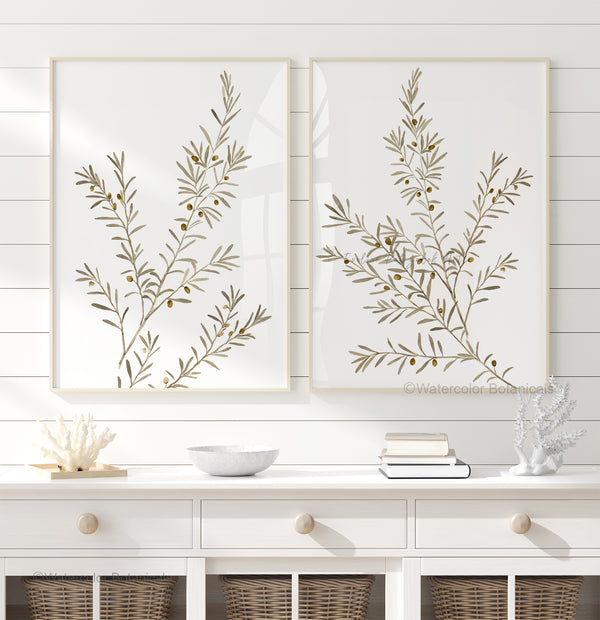 Two framed botanical prints showing ilive tree branches  on a white wall above a white console table. 
