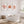Orange Coral Wall Art Set of 3 – Botanical Coastal Reef Prints