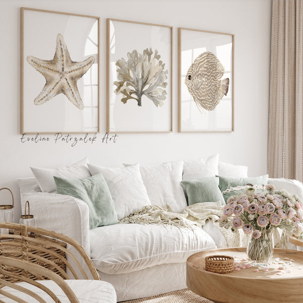 Coastal Farmhouse Wall Art Set of 3 Neutral Coastal Prints