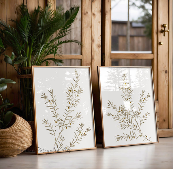 Mediterranean Olive Tree Botanical Prints – Neutral Modern Farmhouse Wall Art Set of 2