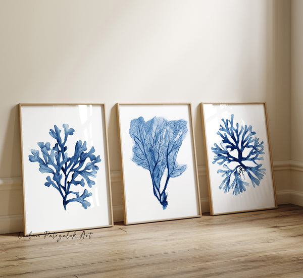Minimalistische Küstenkunst, Set aus 3 Aquarellkorallen in Marineblau