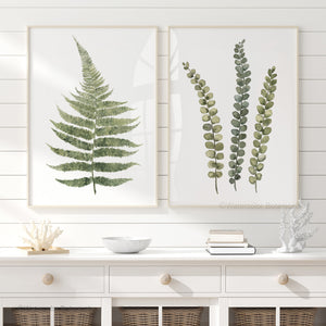 Olive Green Fern Wall Art – Organic Modern Botanical Watercolor Prints