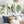 Grünes Wandbilder-Set mit tropischen Blättern – 3er Set Aquarell Poster mit Bananenblatt & Palmenblatt für Wohnzimmer oder Schlafzimmer